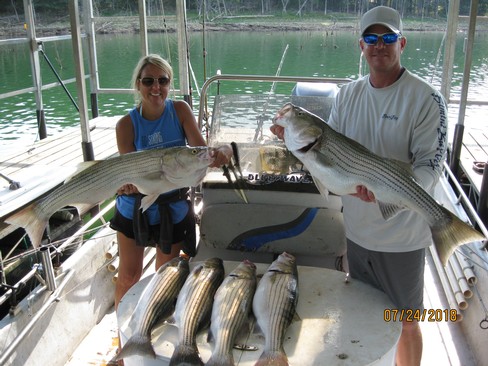 Nice Striped Bass